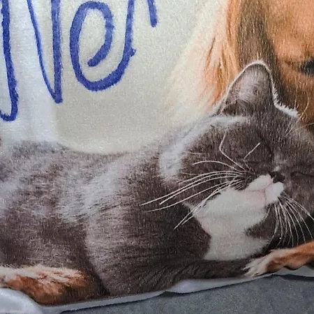 דירה Il Paradiso Potok Akva Park